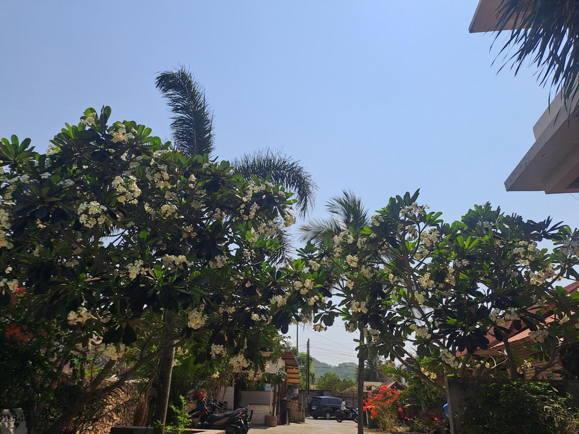 Kutabay Homestay Kuta  Luaran gambar
